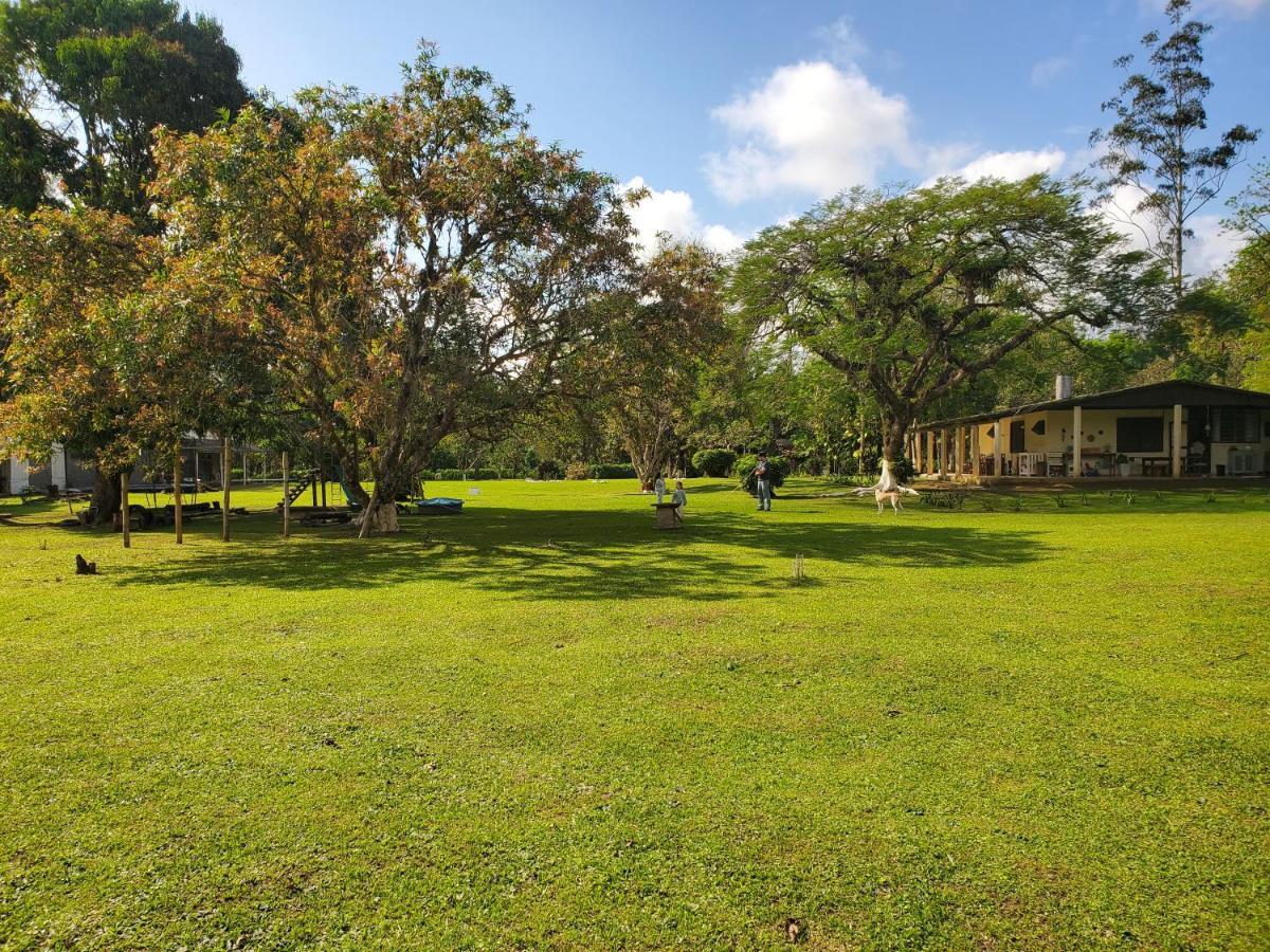 Ecoisa De Chacara - Casa De Vidro, Casa De Campo Morretes Extérieur photo