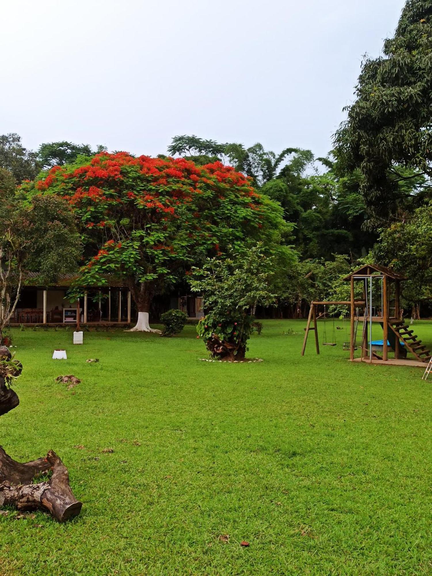 Ecoisa De Chacara - Casa De Vidro, Casa De Campo Morretes Extérieur photo